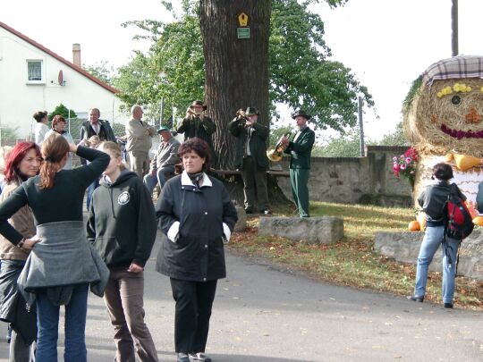 Weideauftrieb in Dresden-Ockerwitz