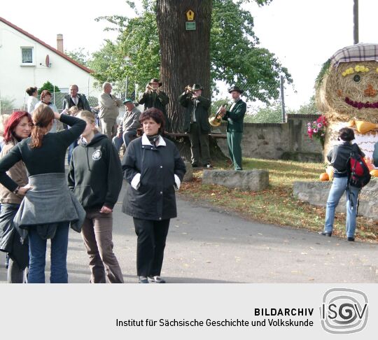 Weideauftrieb in Dresden-Ockerwitz