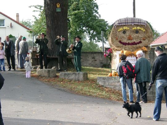 Weideauftrieb in Dresden-Ockerwitz