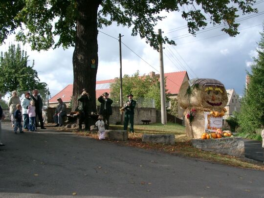 Weideauftrieb in Dresden-Ockerwitz