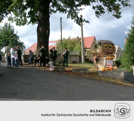 Weideauftrieb in Dresden-Ockerwitz