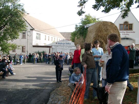 Weideauftrieb in Dresden-Ockerwitz