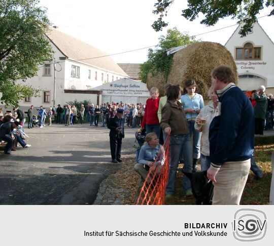 Weideauftrieb in Dresden-Ockerwitz