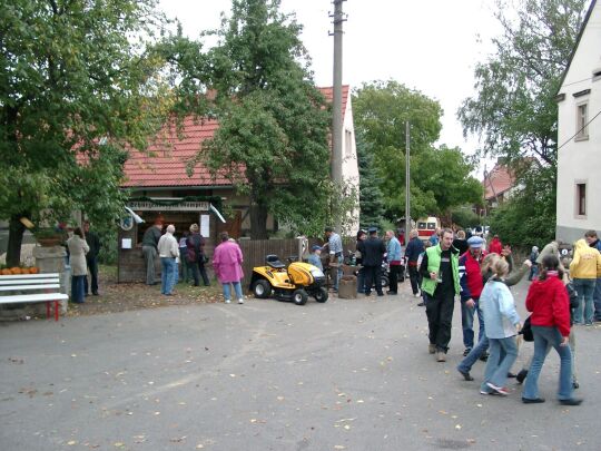 Weideauftrieb in Dresden-Ockerwitz