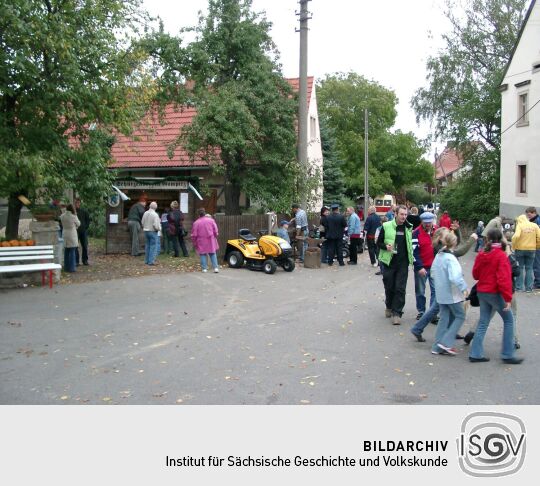 Weideauftrieb in Dresden-Ockerwitz