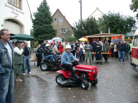 Weideauftrieb in Dresden-Ockerwitz