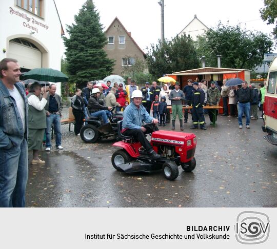 Weideauftrieb in Dresden-Ockerwitz