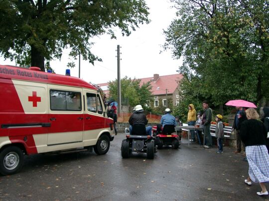 Weideauftrieb in Dresden-Ockerwitz