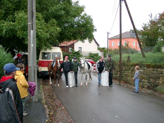 Weideauftrieb in Dresden-Ockerwitz