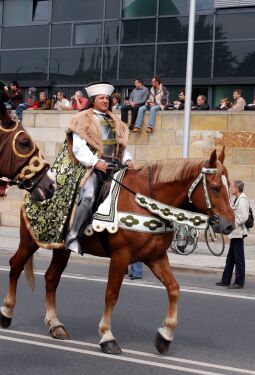 Bild: Festumzug zur 800-Jahr-Feier in Dresden