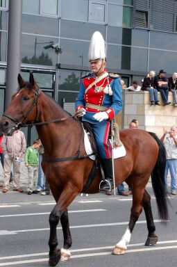Bild: Festumzug zur 800-Jahr-Feier in Dresden