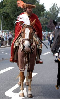 Bild: Festumzug zur 800-Jahr-Feier in Dresden
