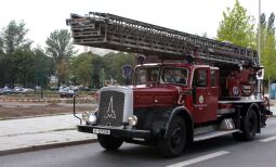 Bild: Festumzug zur 800-Jahr-Feier in Dresden