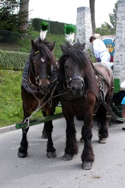 Bild: Tag der Sachsen in Marienberg