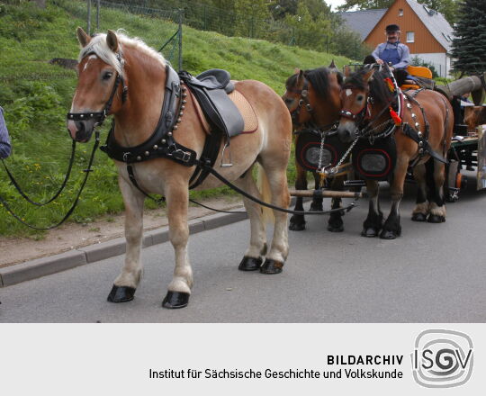 Tag der Sachsen in Marienberg