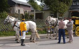 Bild: Tag der Sachsen in Marienberg