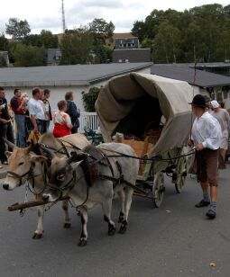 Bild: Tag der Sachsen in Marienberg