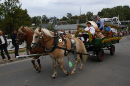 Bild: Tag der Sachsen in Marienberg