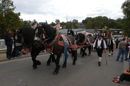 Bild: Tag der Sachsen in Marienberg