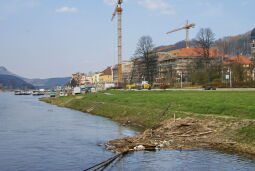 Bild: Landschaftsansicht der Elbe