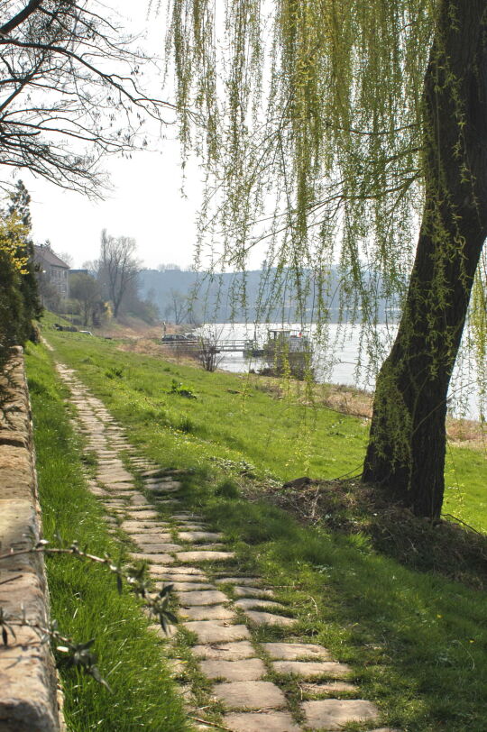 Landschaftsansicht der Elbe