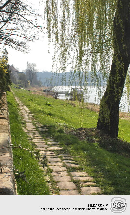 Landschaftsansicht der Elbe