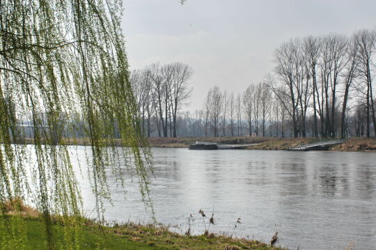 Landschaftsansicht der Elbe