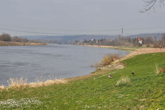 Landschaftsansicht der Elbe