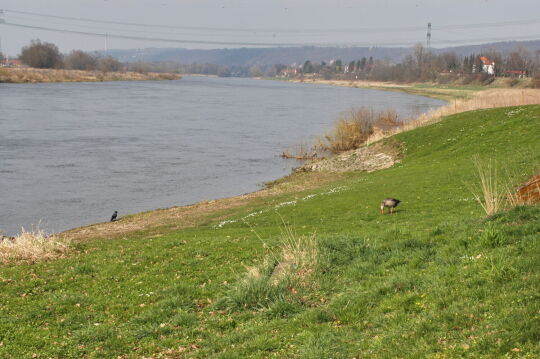 Landschaftsansicht der Elbe