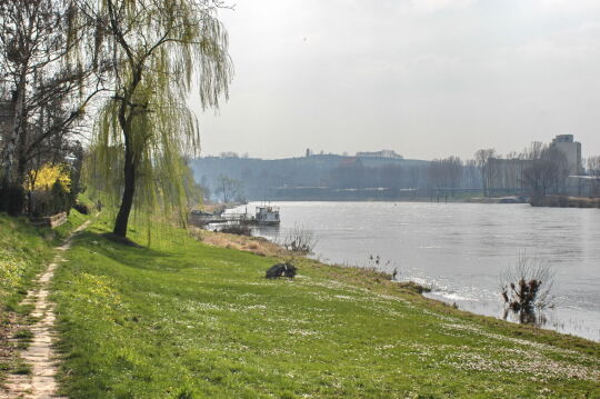 Landschaftsansicht der Elbe