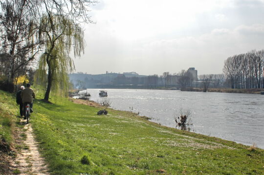 Landschaftsansicht der Elbe