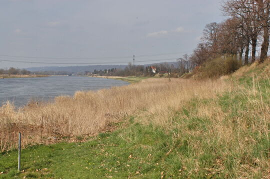 Landschaftsansicht der Elbe