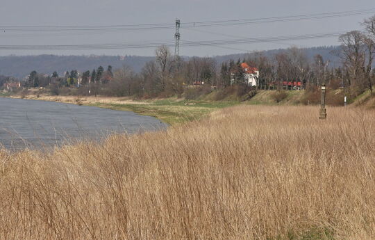 Landschaftsansicht der Elbe