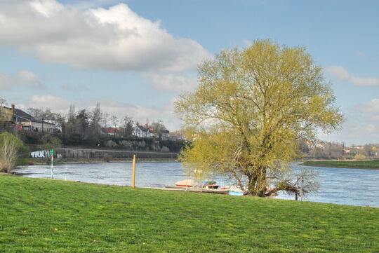 Elbe bei Cotta