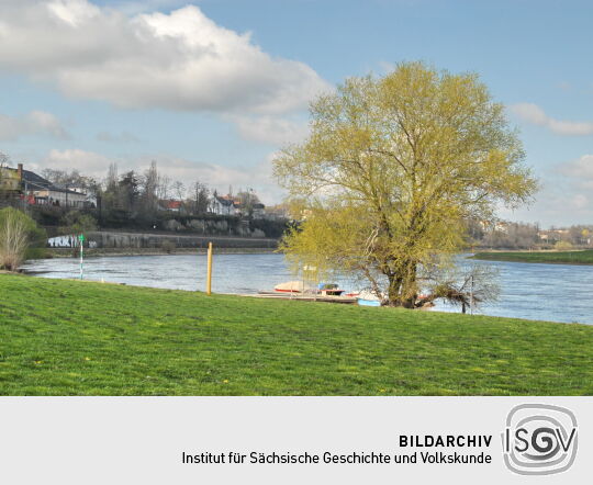 Elbe bei Cotta