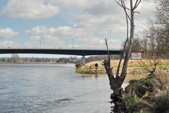 Elbe und Flügelwegbrücke