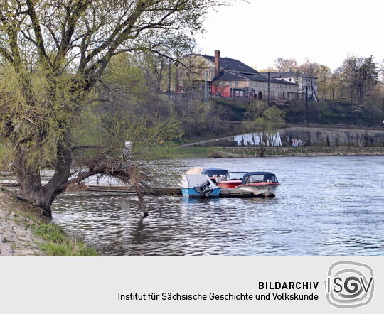 Elbufer bei Cotta