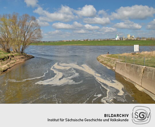 Mündung der Weißeritz in die Elbe