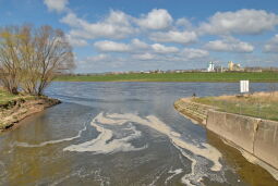 Bild: Mündung der Weißeritz in die Elbe