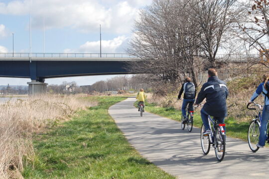 Elberadweg an der Flügelwegbrücke