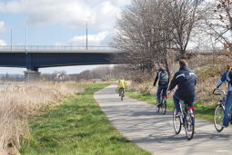 Bild: Elberadweg an der Flügelwegbrücke