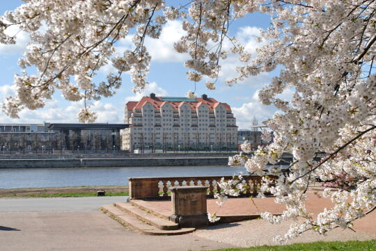 Ortsansicht in Dresden