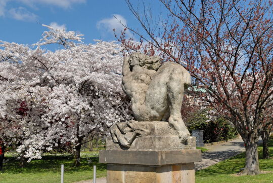 Ortsansicht in Dresden