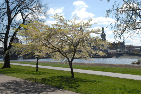 Ortsansicht in Dresden