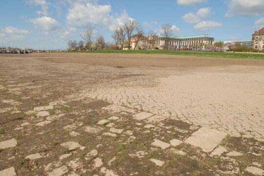 Landschaftsansicht der Elbe