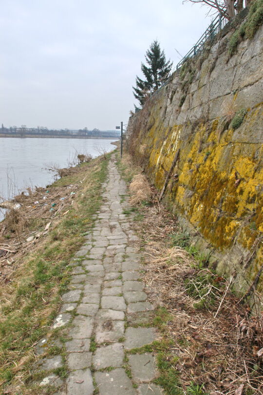 Landschaftsansicht der Elbe