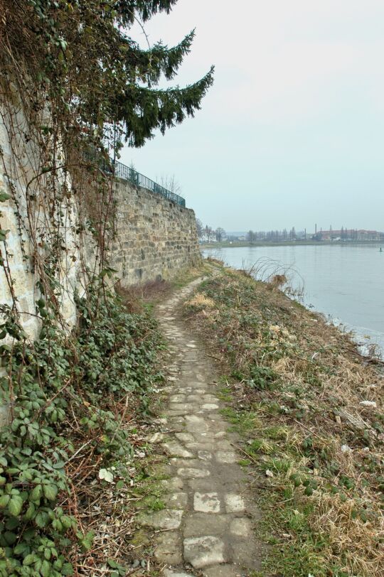 Landschaftsansicht der Elbe