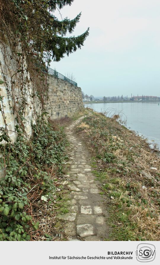 Landschaftsansicht der Elbe