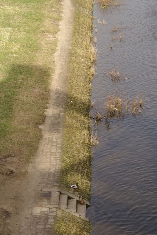 Landschaftsansicht der Elbe