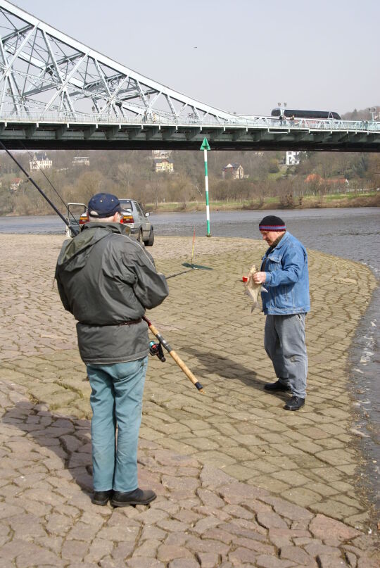 Landschaftsansicht der Elbe